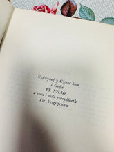 Load image into Gallery viewer, Argraffiad Cyntaf o nofel ‘Y Wisg Sidan’ gan Elena Puw Morgan o 1939 / First Edition copy of Elena Puw Morgan novel ‘Y Wisg Sidan’ from 1939