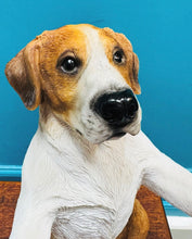 Load image into Gallery viewer, Ci caredig y daliwr papur toilet  / Helpful Hound toilet roll holder