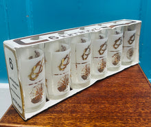 Load image into Gallery viewer, 6 gwydryn tal Retro morwrol Luminarc Ffrengig yn eu bocs gwreiddiol / Retro 6 nautical Luminarc French tumblers in their original box