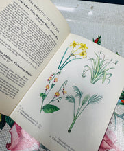 Load image into Gallery viewer, Argraffiad 1af o ‘The Book of House Plants’ gan Stanley B. Whitehead o 1965 / 1st Edition of ‘The Book of House Plants’ by Stanley B. Whitehead from 1965