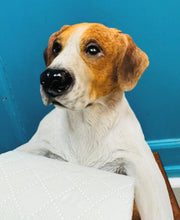 Load image into Gallery viewer, Ci caredig y daliwr papur toilet  / Helpful Hound toilet roll holder