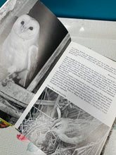 Load image into Gallery viewer, Llyfr ‘Seiat yr Adar’ o 1981 / ‘Seiat yr Adar’ book from 1981