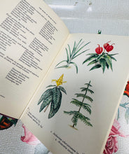 Load image into Gallery viewer, Argraffiad 1af o ‘The Book of House Plants’ gan Stanley B. Whitehead o 1965 / 1st Edition of ‘The Book of House Plants’ by Stanley B. Whitehead from 1965