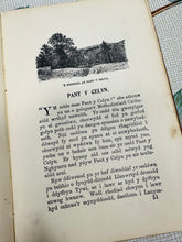 Load image into Gallery viewer, Llyfr Hynafol ‘Catrefi Cymru’ gan O.M.Edwards o 1896 / Antique book ‘Catrefi Cymru’ by O.M.Edwards from 1896