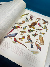 Load image into Gallery viewer, ‘The Standard Dictionary of the English Language - Volume 1 - A to L’ o / from 1920