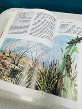 Load image into Gallery viewer, ‘Beibl y plant mewn lliw’ o 1978 / ‘Beibl y plant mewn lliw’ from 1978
