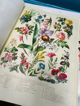 Load image into Gallery viewer, ‘The Standard Dictionary of the English Language - Volume 2 - M to Z o / from 1920