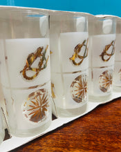 Load image into Gallery viewer, 6 gwydryn tal Retro morwrol Luminarc Ffrengig yn eu bocs gwreiddiol / Retro 6 nautical Luminarc French tumblers in their original box