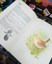 Load image into Gallery viewer, Llyfr ‘Adar yr Ardd’ argraffiad 1987 / ‘Adar yr Ardd’ book 1987 print