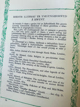 Load image into Gallery viewer, Argraffiad Cyntaf o Lyfr clawr caled ‘Y Tylwyth Teg’ gan Hugh Evans o 1935 gyda arluniaeth gan T.J. Bond / First Edition of ‘Y Tylwyth Teg’ hardback book by Hugh Evans from 1935 with drawings by T.J. Bond