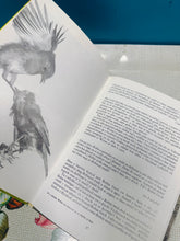 Load image into Gallery viewer, Llyfr ‘Seiat yr Adar’ o 1981 / ‘Seiat yr Adar’ book from 1981