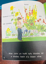 Load image into Gallery viewer, Llyfr ‘Gerddi a Blodau’ o gyfres ‘Geiriau eich Plant’ o 1969 / ‘Gerddi a Blodau’ book from the ‘Geiriau eich Plant’ series from 1969