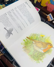 Load image into Gallery viewer, Llyfr ‘Adar yr Ardd’ argraffiad 1987 / ‘Adar yr Ardd’ book 1987 print