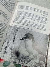 Load image into Gallery viewer, Llyfr ‘Seiat yr Adar’ o 1981 / ‘Seiat yr Adar’ book from 1981