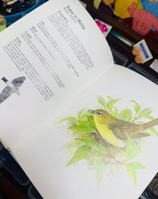 Load image into Gallery viewer, Llyfr ‘Adar yr Ardd’ argraffiad 1987 / ‘Adar yr Ardd’ book 1987 print