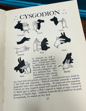 Load image into Gallery viewer, Llyfr plant ‘Dail Difyr’ Vintage gan W.T.Williams o 1935 / ‘Dail Difyr’ Vintage Welsh children’s book by W.T.Williams from 1935