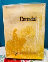 Load image into Gallery viewer, Set o 6 gwydryn Retro Amber effaith rhisgl yn ei focs gwreiddiol o’r 70au / Retro set of 6 Amber bark effect stemmed drinking glasses in their original 1970s box