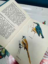 Load image into Gallery viewer, Llyfr ‘A Bird Book for the Pocket’ gan Edmund Sandars o 1943 / ‘A Bird Book for the Pocket’ by Edmund Sandars from 1943