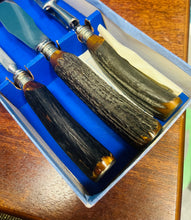 Load image into Gallery viewer, Set cerfio Hynafol Stainless Steel a charnau cyrn yn eu bocs gwreiddiol / Antique Stainless Steel and horn handle carving set in original box