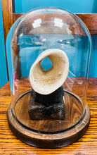 Load image into Gallery viewer, Asgerfiad Evelyn, llong a aeth i Batagonia yn y 19fed Ganrif, ar asgwrn mewn Cromen Wydr gan Carwyn Jones / Evelyn, a ship that went to Patagonia in the 19th Century, Scrimshaw by hand on bone and in a Glass Dome by Carwyn Jones