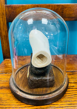 Load image into Gallery viewer, Asgerfiad Evelyn, llong a aeth i Batagonia yn y 19fed Ganrif, ar asgwrn mewn Cromen Wydr gan Carwyn Jones / Evelyn, a ship that went to Patagonia in the 19th Century, Scrimshaw by hand on bone and in a Glass Dome by Carwyn Jones