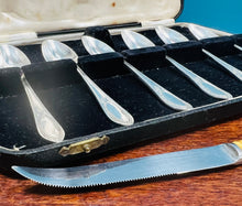 Load image into Gallery viewer, Set o 6 llwy grawnffrwyth a chyllell finiog Vintage yn eu bocs gwreiddiol / Set of 6 Vintage grapefruit spoons and serrated knive  in their original box