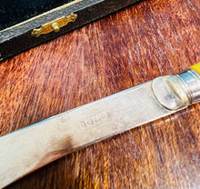 Load image into Gallery viewer, 6 Cyllell Menyn EPNS carn mwstard Vintage o’r 40au yn eu bocs gwreiddiol / 6 Vintage 1940s mustard handles EPNS Butter Knives in original case