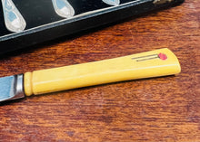 Load image into Gallery viewer, Set o 6 llwy grawnffrwyth a chyllell finiog Vintage yn eu bocs gwreiddiol / Set of 6 Vintage grapefruit spoons and serrated knive  in their original box