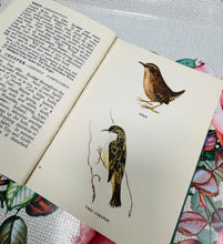 Load image into Gallery viewer, Llyfr ‘A Bird Book for the Pocket’ gan Edmund Sandars o 1943 / ‘A Bird Book for the Pocket’ by Edmund Sandars from 1943
