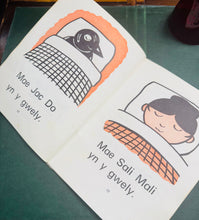 Load image into Gallery viewer, Llyfr ‘Sali Mali’ gan Mary Vaughan Jones i 1971 / ‘Sali Mali’ book by Mary Vaughan Jones from 1971
