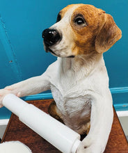 Load image into Gallery viewer, Ci caredig y daliwr papur toilet  / Helpful Hound toilet roll holder
