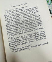 Load image into Gallery viewer, Argraffiad Cyntaf o nofel gyntaf Saunders Lewis ,‘Monica’, o 1930 / First Edition copy of Saunders Lewis’s first novel, ‘Monica’, from 1930
