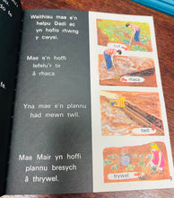 Load image into Gallery viewer, Llyfr ‘Gerddi a Blodau’ o gyfres ‘Geiriau eich Plant’ o 1969 / ‘Gerddi a Blodau’ book from the ‘Geiriau eich Plant’ series from 1969
