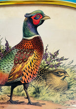 Load image into Gallery viewer, Hambwrdd Vintage Ffesantod o’r 70au / Vintage 1970s tray with Pheasants
