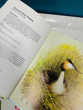 Load image into Gallery viewer, Llyfr ‘Adar yr Afonydd a’r Llynnoedd’ o 1982 /  ‘Adar yr Afonydd a’r Llynnoedd’ book from 1982
