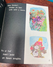 Load image into Gallery viewer, Llyfr ‘Gerddi a Blodau’ o gyfres ‘Geiriau eich Plant’ o 1969 / ‘Gerddi a Blodau’ book from the ‘Geiriau eich Plant’ series from 1969
