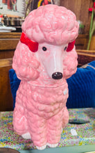 Load image into Gallery viewer, Jar bisgedi pŵdl pinc / Pink poodle biscuit jar
