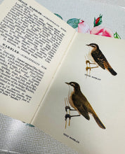 Load image into Gallery viewer, Llyfr ‘A Bird Book for the Pocket’ gan Edmund Sandars o 1943 / ‘A Bird Book for the Pocket’ by Edmund Sandars from 1943
