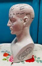 Load image into Gallery viewer, Pen Seramig Antiqued Phrenology mawr / Large
Antiqued Ceramic Phrenology head
