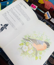 Load image into Gallery viewer, Llyfr ‘Adar yr Ardd’ argraffiad 1987 /  ‘Adar yr Ardd’ book 1987 print
