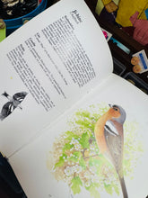 Load image into Gallery viewer, Llyfr ‘Adar yr Ardd’ argraffiad 1987 /  ‘Adar yr Ardd’ book 1987 print
