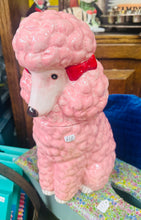 Load image into Gallery viewer, Jar bisgedi pŵdl pinc / Pink poodle biscuit jar
