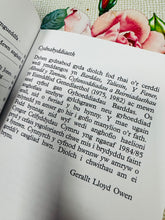 Load image into Gallery viewer, ‘Cilmeri a cherddi eraill’ gan Gerallt Lloyd Owen, argraffiad 2005 / ‘Cilmeri a cherddi eraill’ by Gerallt Lloyd Owen, 2005 edition
