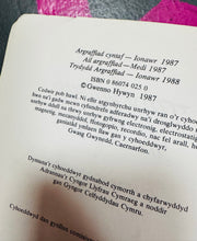 Load image into Gallery viewer, Nofel ‘Tydi bywyd yn boen!’ gan Gwenno Hywyn o 1988
/ ‘Tydi bywyd yn boen!’ novel by Gwenno Hywyn from 1988
