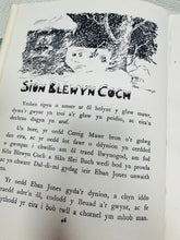 Load image into Gallery viewer, Llyfr Mawr y Plant rhif 1 clawr caled Vintage / Vintage Hardback Llyfr Mawr y Plant rhif 1

