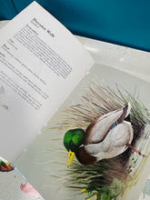 Load image into Gallery viewer, Llyfr ‘Adar yr Afonydd a’r Llynnoedd’ o 1982 /  ‘Adar yr Afonydd a’r Llynnoedd’ book from 1982
