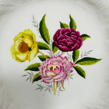 Load image into Gallery viewer, Set o 6 plat blodeuog Vintage Alfred Meakin / Set of 6 Vintage floral Alfred Meakin plates
