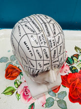 Load image into Gallery viewer, Pen Seramig Antiqued Phrenology daliwyr llyfrau / Bookends  Antiqued Ceramic Phrenology head
