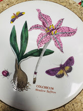 Load image into Gallery viewer, Teilsen trivet seramig crwn Portmeirion 'Meadow Saffron' Vintage / Ceramic Vintage Portmeirion round ‘Meadow Saffron’ tile trivet
