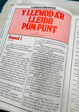 Load image into Gallery viewer, ‘Llyfr Mawr 3 HTV’ Vintage o 1980 / Vintage ‘Llyfr Mawr 3 HTV’ book from 1980
